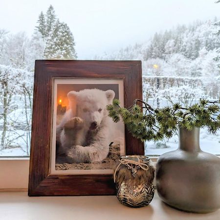 Au Petit Bois Daire Chamonix Dış mekan fotoğraf