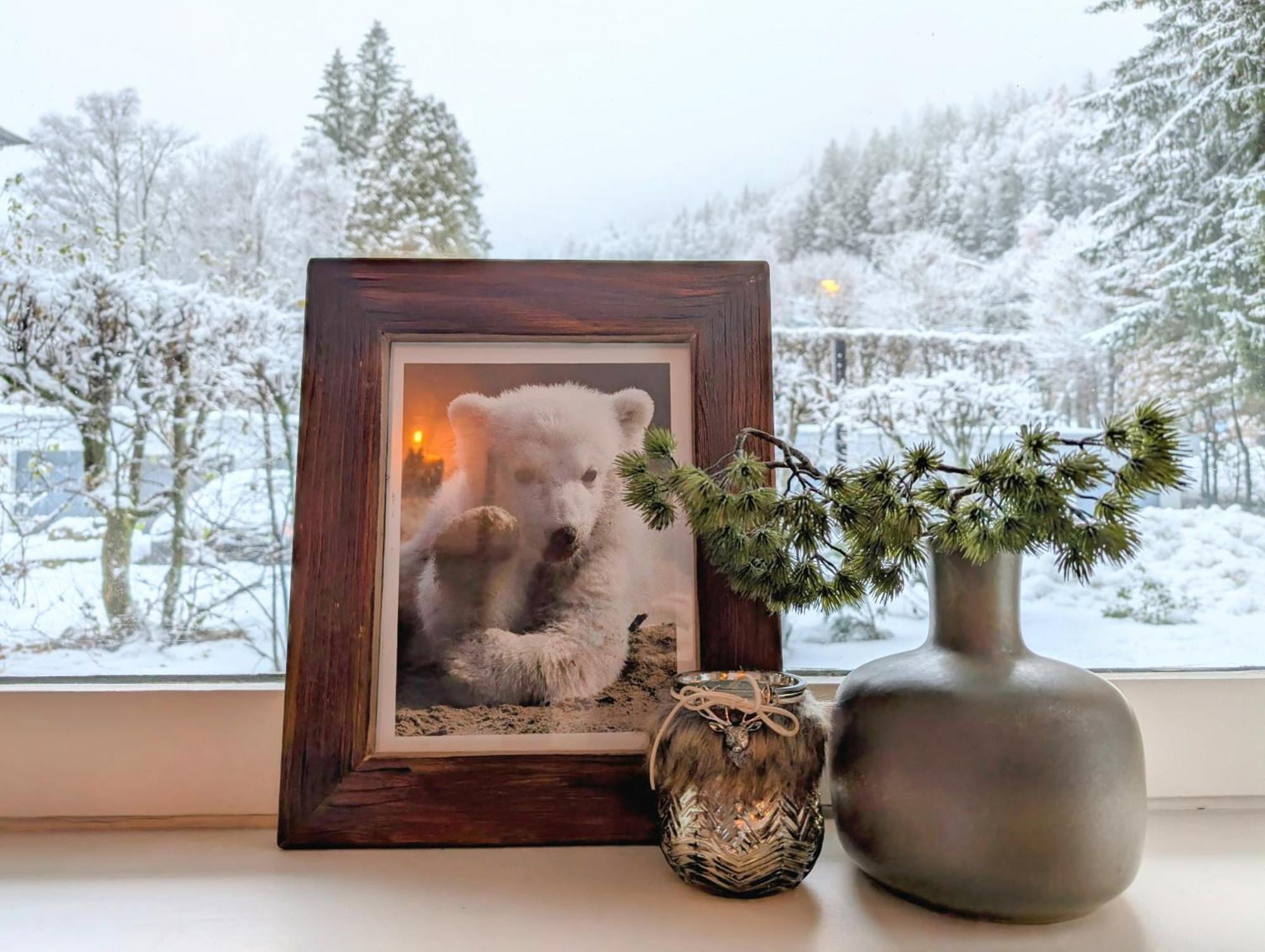 Au Petit Bois Daire Chamonix Dış mekan fotoğraf