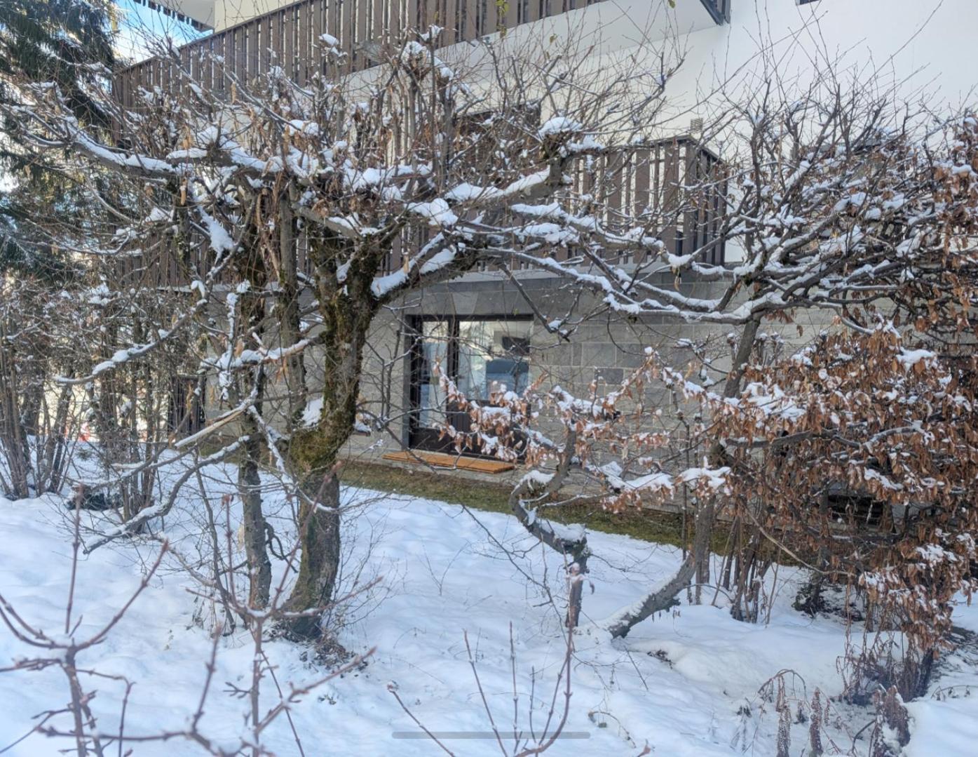 Au Petit Bois Daire Chamonix Dış mekan fotoğraf