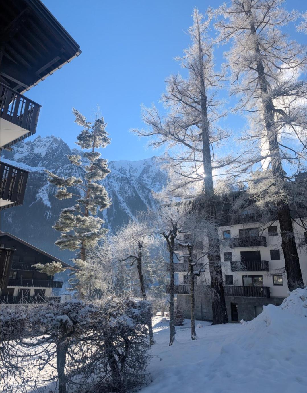 Au Petit Bois Daire Chamonix Dış mekan fotoğraf
